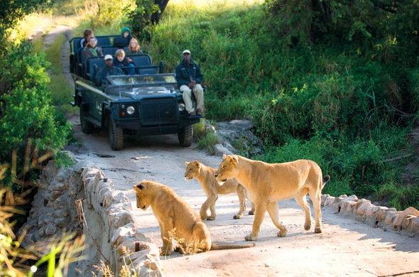 Kruger Park Lodge 401 ヘイジービュー エクステリア 写真